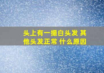 头上有一撮白头发 其他头发正常 什么原因